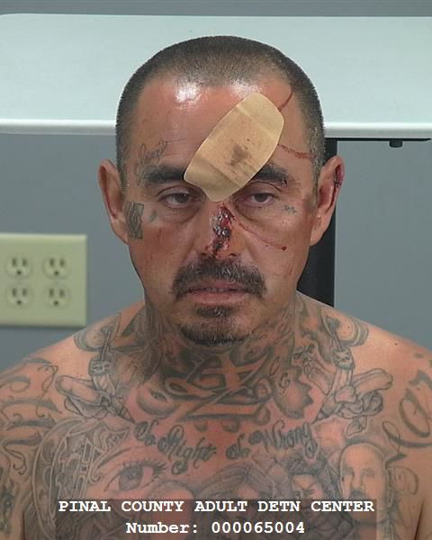 Mug shots 2019